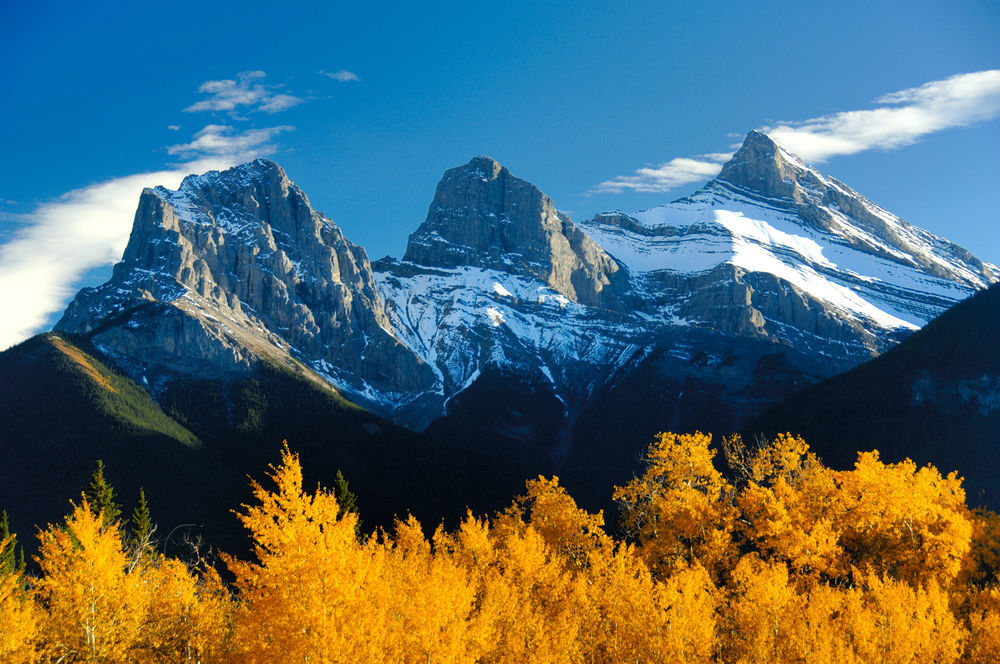 B&B Falcon Crest Lodge 1Br 1Pullout Canmore Zewnętrze zdjęcie